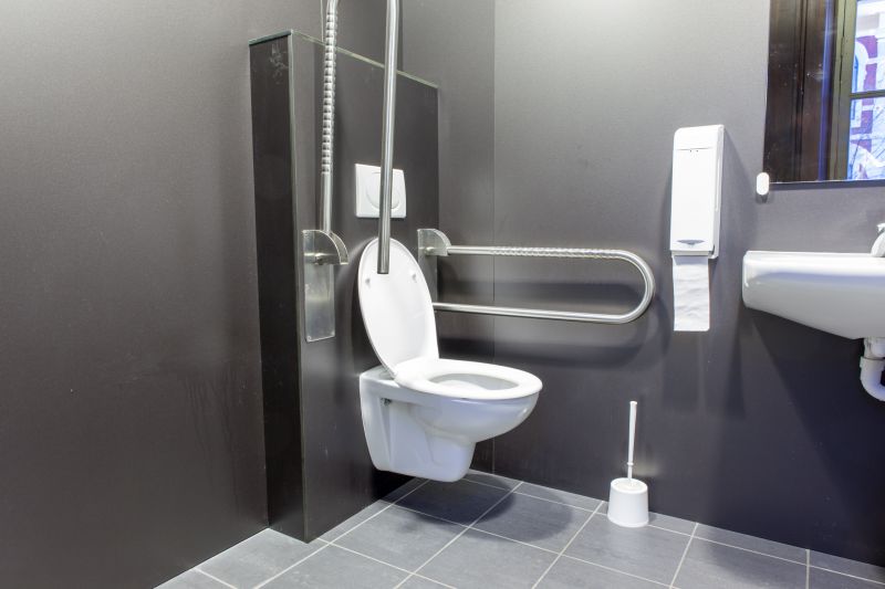 Toilet Handrail Installation
