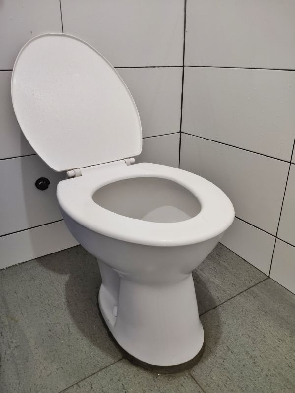 Toilet Seat Installation