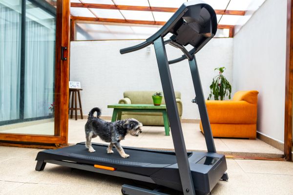 Treadmill Installation in Fairfield