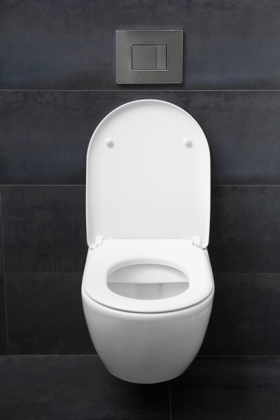 Toilet Lid Installation in Fairfield