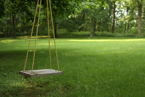 Rope Swing Installation in Fairfield