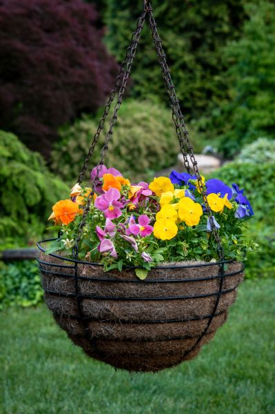 Hanging Basket Installation in Fairfield