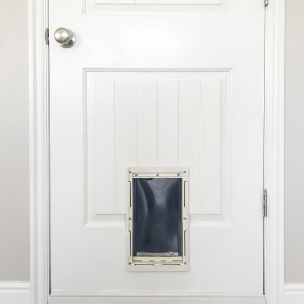 Pet Door Repair in Fairfield