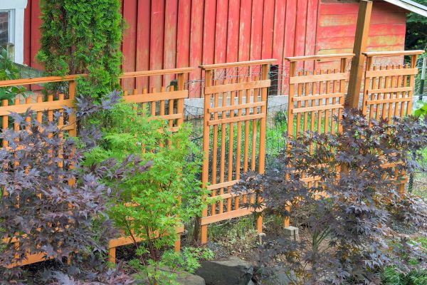 Wood Trellis Mounting in Fairfield