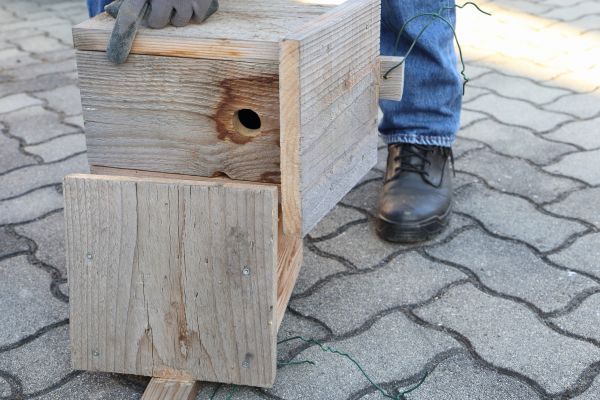 Birdhouse Mounting in Fairfield