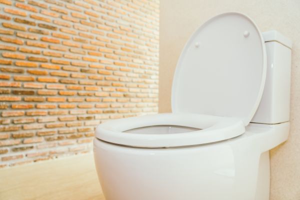 Toilet Seat Repair in Fairfield
